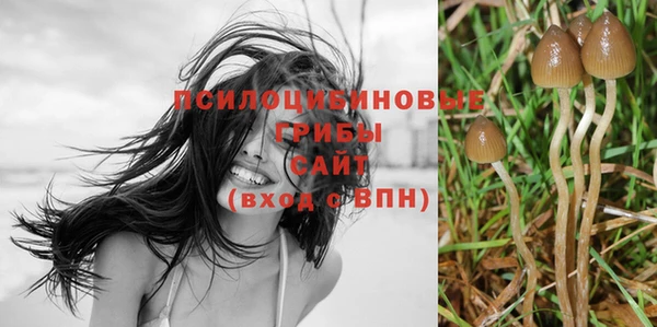 трава Бородино