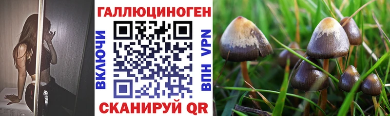 как найти закладки  Заречный  Галлюциногенные грибы мицелий 